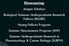 showcasing program names